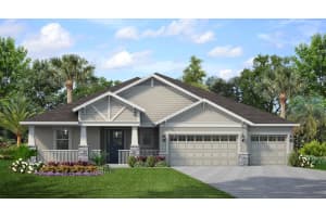 910 Signet, APOLLO BEACH