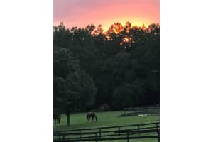 12864 41ST PLACE, OCALA, FL 34481 - MLS#MFRO6327742