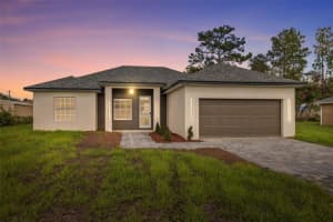 2411 Sw 161st Ln, OCALA