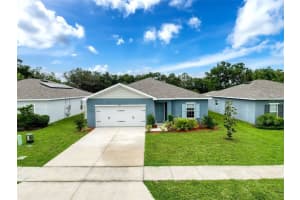 408 Button Sage Ln, DAVENPORT