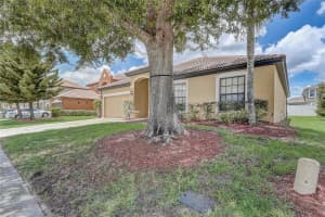 3028 CAMINO REAL DRIVE, KISSIMMEE, FL 34744 - MLS#MFRO6328104