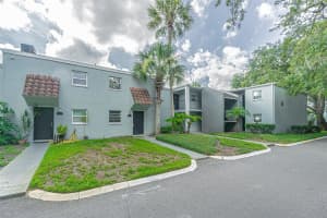 2818 SOMERSET PARK DRIVE, TAMPA, FL 33613 - MLS#MFRO6328112