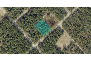 172ND PLACE RD, OCALA, FL 34473 - MLS#MFRO6328141