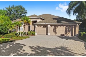 6114 TREMAYNE DRIVE, MOUNT DORA, FL 32757 - MLS#MFRO6328149
