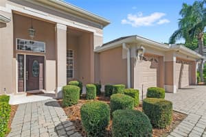 6114 TREMAYNE DRIVE, MOUNT DORA, FL 32757 - MLS#MFRO6328149