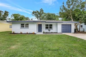 559 Vine Ave, DUNEDIN