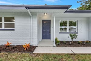 559 VINE AVENUE, DUNEDIN, FL 34698 - MLS#MFRO6328161