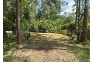 14135 CONIFER DRIVE, ORLANDO, FL 32832 Sold 08/26/25