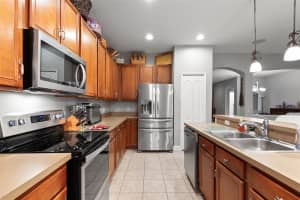 18037 LAKE REFLECTIONS BOULEVARD, LUTZ, FL 33558 - MLS#MFRO6328182