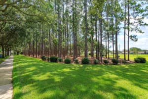 6830 MAPPERTON DRIVE, WINDERMERE, FL 34786 Sold 09/04/25