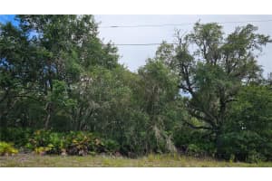 1005 PLUMOSA DRIVE, INDIAN LAKE ESTATES, FL 33855 - MLS#MFRO6328269