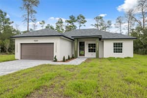 15225 Sw 29th Terrace Rd, OCALA