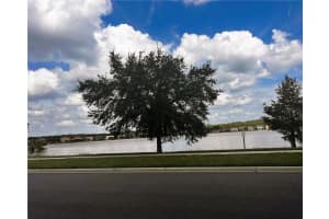 10777 GARDEN LILY DRIVE, ORLANDO, FL 32832 - MLS#MFRO6328418