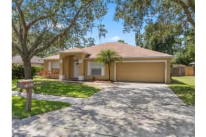13802 RIVERPATH GROVE DR, ORLANDO, FL 32826 - MLS#MFRO6328468