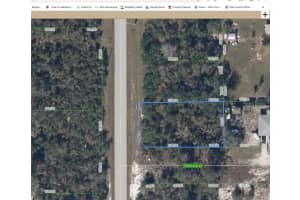 1002 TENNYSON STREET, LAKE PLACID, FL 33852 - MLS#MFRO6328765