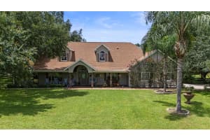 32137 WOLF BRANCH LANE, SORRENTO, FL 32776 - MLS#MFRO6328820