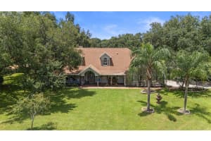 32137 WOLF BRANCH LANE, SORRENTO, FL 32776 - MLS#MFRO6328820