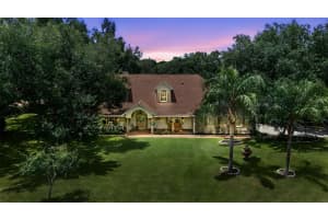 32137 WOLF BRANCH LANE, SORRENTO, FL 32776 - MLS#MFRO6328820