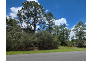 MLS# MFRO6328943, Ocala, Florida 34473