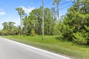 14373 SWITCH BACK, SPRING HILL, FL 34609 - MLS#MFRO6328951