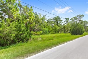 14373 SWITCH BACK, SPRING HILL, FL 34609 - MLS#MFRO6328951