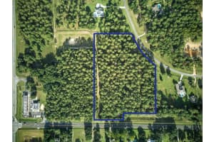 24148 DEEP SPRINGS LOOP, EUSTIS, FL 32736 - MLS#MFRO6328995