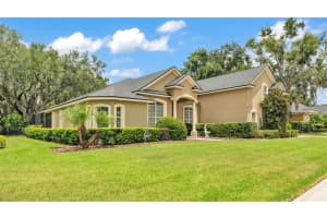 195 SHANNON OAKS DRIVE, LAKELAND, FL 33813 - MLS#MFRO6329011