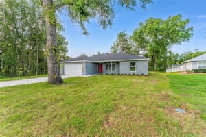 319 FISHER ROAD, OCKLAWAHA, FL 32179 - MLS#MFRO6329203