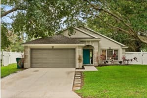 1011 Vassar Dr, EUSTIS
