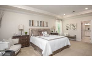 10043 WHITE MAGNOLIA SQUARE, THONOTOSASSA, FL 33592 - MLS#MFRO6329279