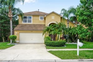 7728 Cedarhurst Ln, TAMPA