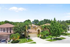 7728 CEDARHURST LN, TAMPA, FL 33625 - MLS#MFRO6329329