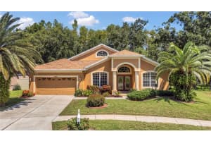 27045 Silverleaf Way, WESLEY CHAPEL