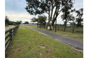 17436 TIMBERLINE DRIVE, MOUNT DORA, FL 32757 - MLS#MFRO6329793