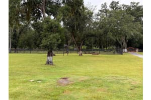 17436 TIMBERLINE DRIVE, MOUNT DORA, FL 32757 - MLS#MFRO6329793