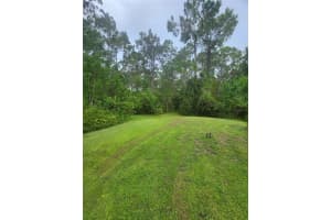 2380 SHEPHERD AVENUE, ST CLOUD, FL 34771 - MLS#MFRO6329885