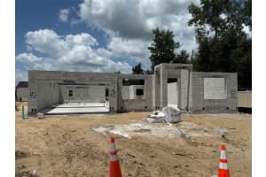 699 Pointe Emerson Blvd, APOPKA