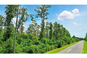 PADDOCK ST, ORLANDO, FL 32833 - MLS#MFRO6330294