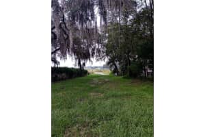 25210 133RD STREET, FORT MC COY, FL 32134 - MLS#MFRO6330423
