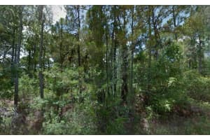 BOYD AVE, NORTH PORT, FL 34286 - MLS#MFRO6330439