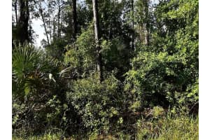 BOYD AVE, NORTH PORT, FL 34286 - MLS#MFRO6330439