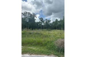 9935 SHADRACK COURT, ORLANDO, FL 32817 - MLS#MFRO6330476