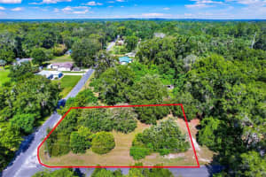 847 Ne 31st St, OCALA