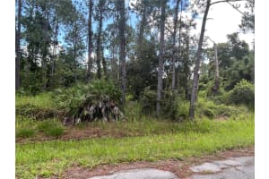4420 GERONA AVENUE, SEBRING, FL 33872 - MLS#MFRO6330516