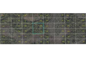 DILL RD, ORLANDO, FL 32820 - MLS#MFRO6330631