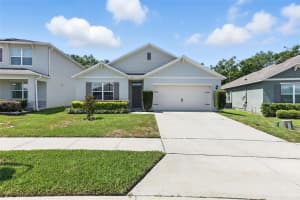 3741 CRIMSON CLOVER DRIVE, MOUNT DORA, FL 32757 - MLS#MFRO6330633