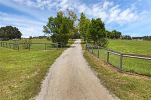 23210 BROUWERTOWN ROAD, HOWEY IN THE HILLS, FL 34737 - MLS#MFRO6330652