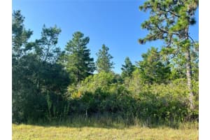 107 BOUGAINVILLE DRIVE, INDIAN LAKE ESTATES, FL 33855 - MLS#MFRO6330667