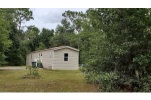 343 CREEKWOOD RUN, LAKELAND, FL 33809 - MLS#MFRO6330754