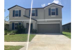 13222 Wildflower Meadow Dr, RIVERVIEW